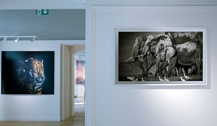 Samsung the frame YellowKorner 1