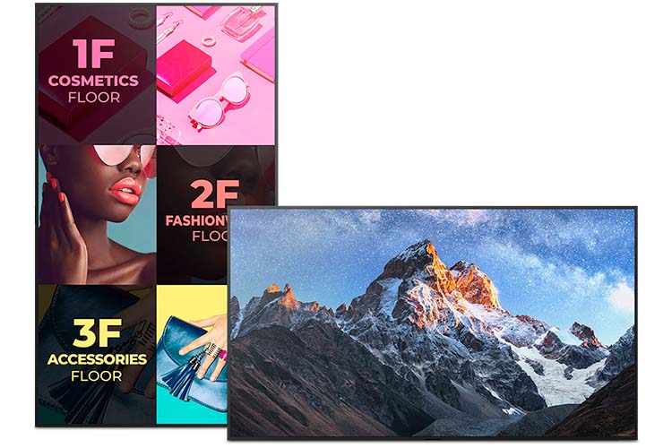 Sony Bravia Infocomm 2 HI