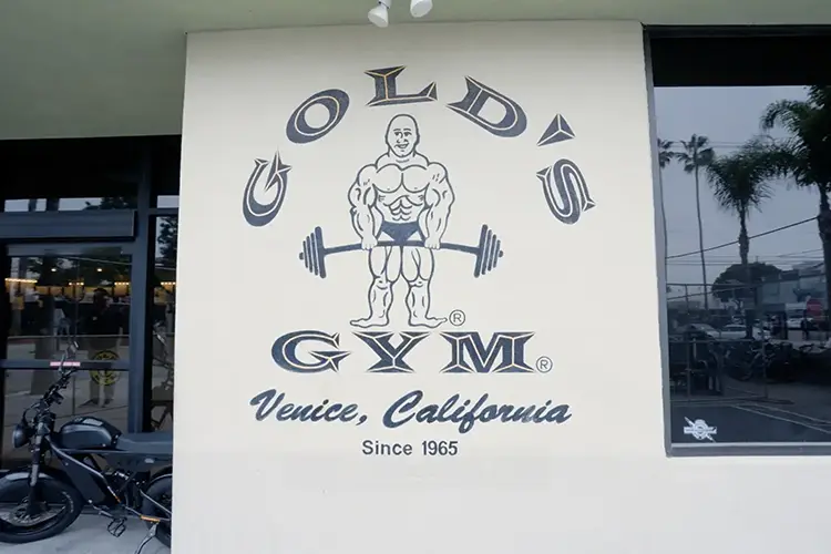 Bose Gym 1 HI