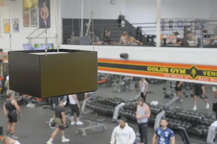 Bose Gym 5 HI