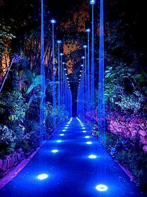 Luminex Chimelong park 1